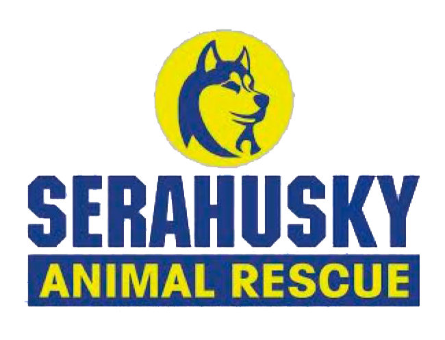 Sera Husky and Animal rescue