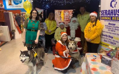 Christmas with Sera Husky 15th December 2019