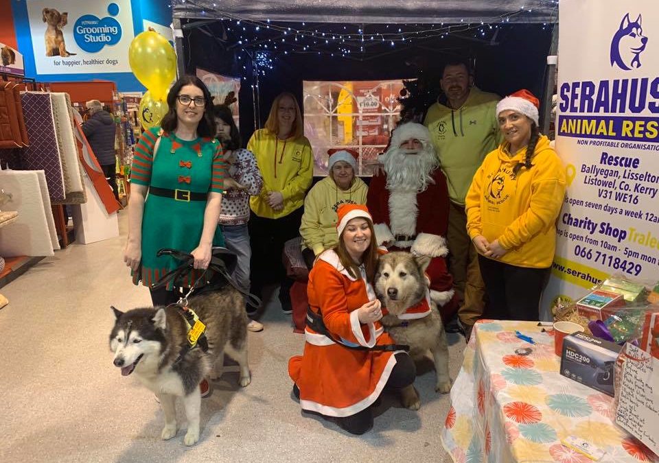 Christmas with Sera Husky 15th December 2019