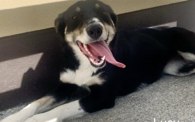 Lucy